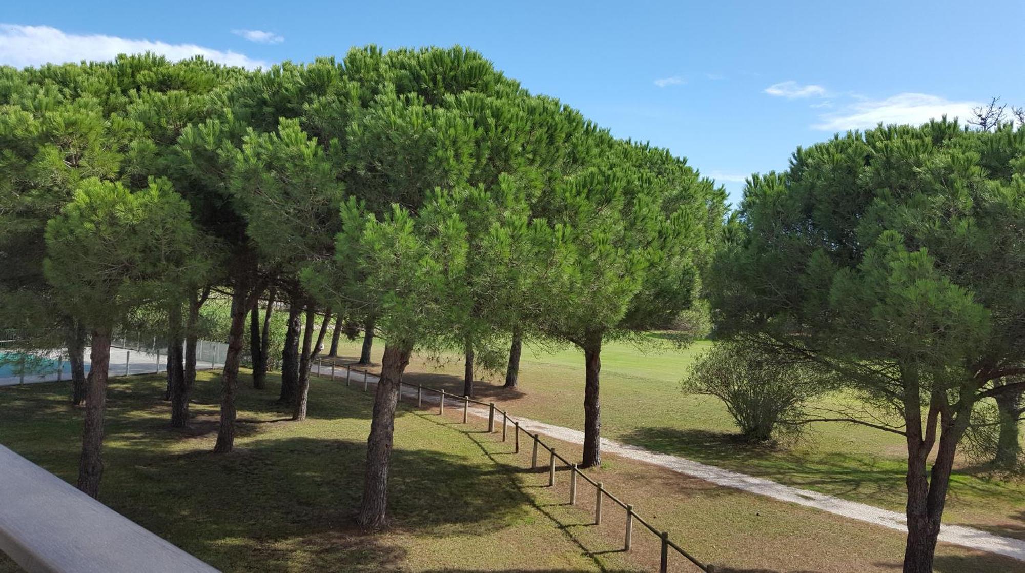Vert Paradis - Vue Apaisante Sur Golf, Pins Parasols, 2E Etage - 80 M2 Dont Terrasse Avec Pergola, 2 Chambres, 3Et Iles, 3 Clim, Wifi - Piscine, Parking Et Park A Velos, Ascenseur - En Option Linge, Menage - Pistes Cyclables, Mer A Proximite Saint-Cyprien  Eksteriør bilde
