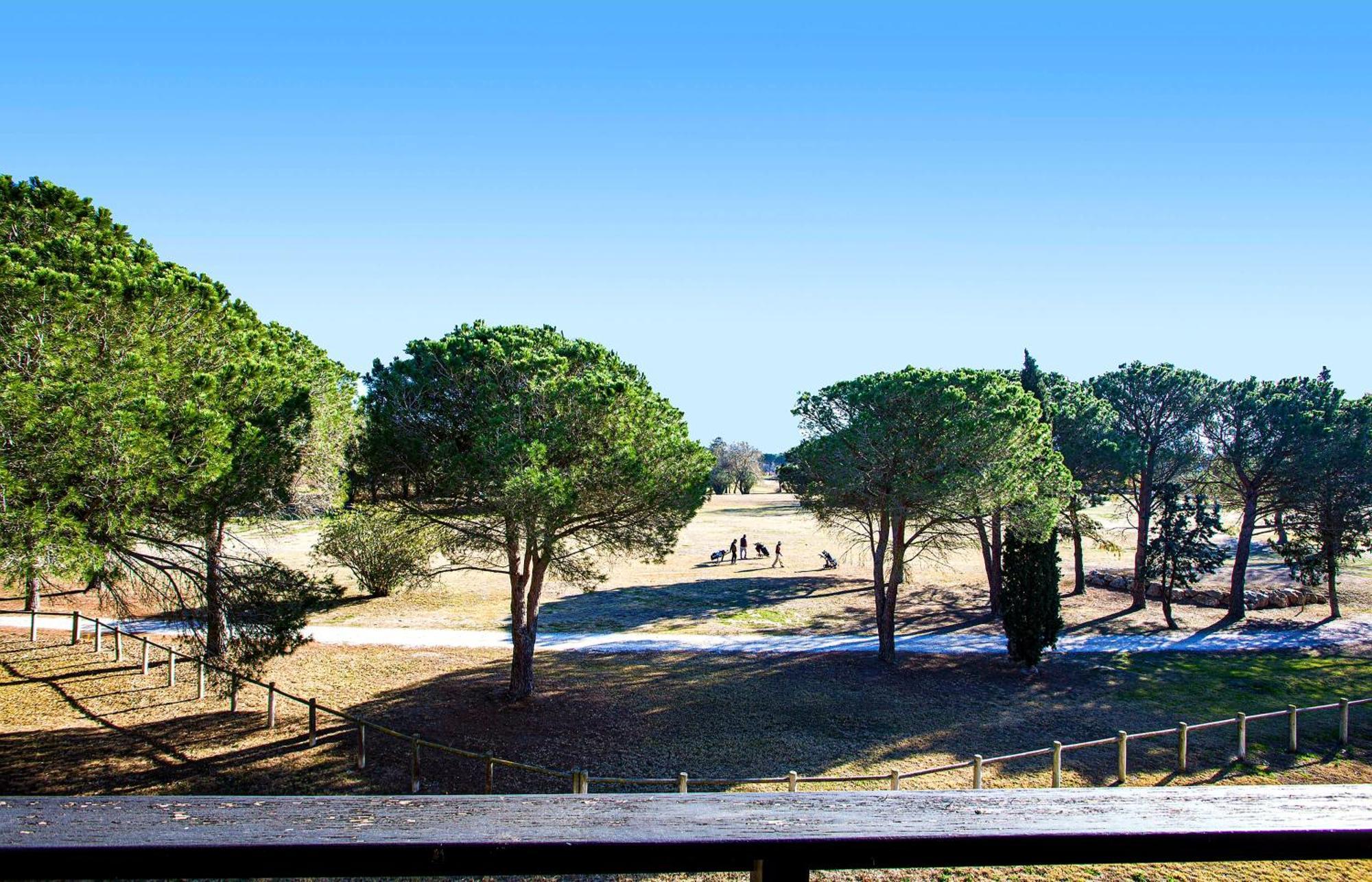 Vert Paradis - Vue Apaisante Sur Golf, Pins Parasols, 2E Etage - 80 M2 Dont Terrasse Avec Pergola, 2 Chambres, 3Et Iles, 3 Clim, Wifi - Piscine, Parking Et Park A Velos, Ascenseur - En Option Linge, Menage - Pistes Cyclables, Mer A Proximite Saint-Cyprien  Eksteriør bilde